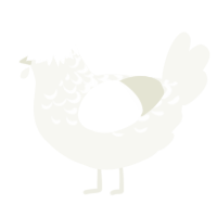 A white chicken with a half-lace pattern