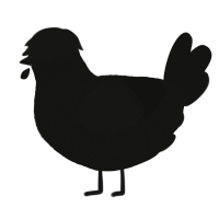 A black chicken with a double-lace pattern