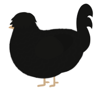 A black chicken with a lace pattern