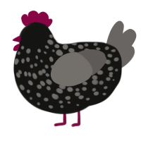 A black and grey chicken with a speckle pattern