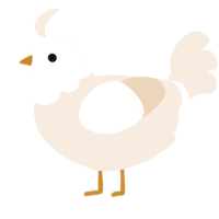 A cream chicken with a head pattern