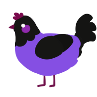 A blurple and black chicken with a head pattern