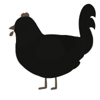 Crow, a black chicken with a head pattern