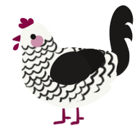 A white and sable chicken with a lace pattern