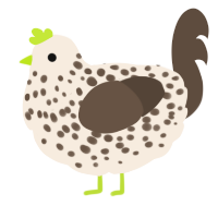 A cream and bark chicken with a speckle pattern