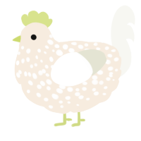 A cream and white chicken with a speckle pattern