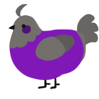 A violet and grey chicken with a head pattern