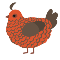 A vermilion and bark chicken with a lace pattern
