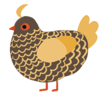 A bark and honey chicken with a lace pattern
