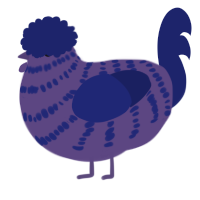 A overcast and navy chicken with a bar pattern
