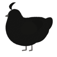 A black chicken with a lace pattern