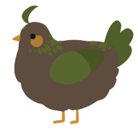 A bark and olive chicken with a neck-speckle pattern
