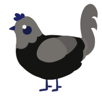 Fishy Chocolate, a black and grey chicken with a head pattern