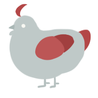 Altaïr, a silver and red chicken