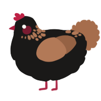 A sable and brown chicken with a neck-speckle pattern