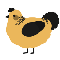 A honey and sable chicken with a neck-band pattern