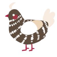 A bark and cream chicken with a bar pattern