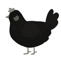 Crow, a black and sable chicken with a half-lace pattern