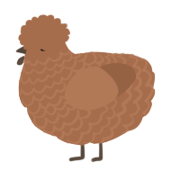 A brown chicken with a lace pattern