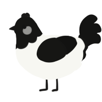 A white and black chicken with a head pattern