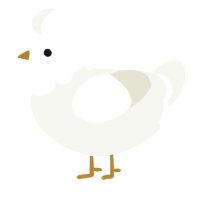 A white chicken with a head pattern