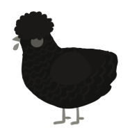 A black and sable chicken with a lace pattern