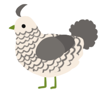 A cream and grey chicken with a lace pattern