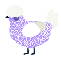 Lilac, a lilac and white chicken with a double-lace pattern