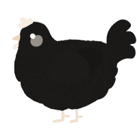 Corbeau, a sable chicken with a lace pattern