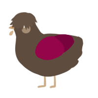 A bark and maroon chicken