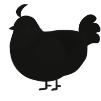 A black chicken with a head pattern