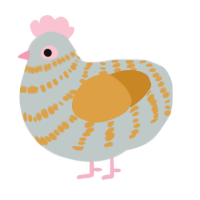 A silver and orange chicken with a bar pattern