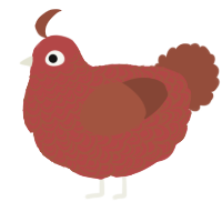 A red and russet chicken with a double-lace pattern