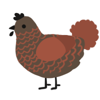 A bark and russet chicken with a lace pattern