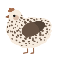 A cream and bark chicken with a speckle pattern