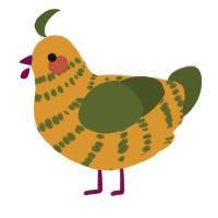 A orange and olive chicken with a bar pattern