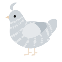 A mist chicken with a bar pattern