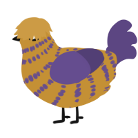A gold and overcast chicken with a bar pattern