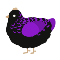 A black and violet chicken with a half-lace pattern