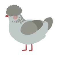 A silver and ash chicken with a neck-speckle pattern