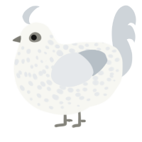 Speck, a white and mist chicken with a speckle pattern