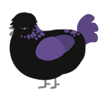 A black and overcast chicken with a neck-speckle pattern