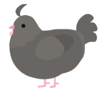 A grey chicken with a head pattern