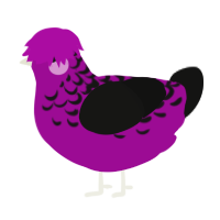 A plum and black chicken with a half-lace pattern