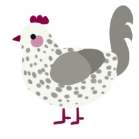 A white and ash chicken with a speckle pattern