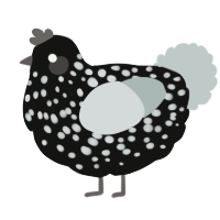 A black and silver chicken with a speckle pattern