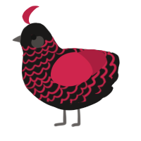 A sable and crimson chicken with a lace pattern