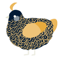 A tumblr and honey chicken with a double-lace pattern