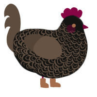 black coffee, a black and bark chicken with a double-lace pattern