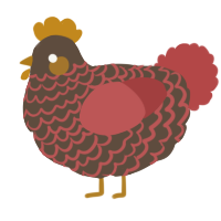 A bark and red chicken with a lace pattern